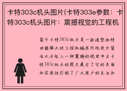 卡特303c机头图片(卡特303e参数：卡特303c机头图片：震撼视觉的工程机械之美)