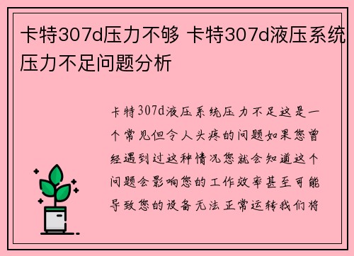 卡特307d压力不够 卡特307d液压系统压力不足问题分析